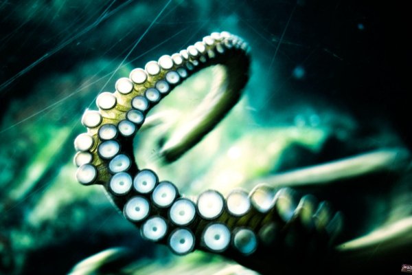 Kraken ссылка на сайт тор